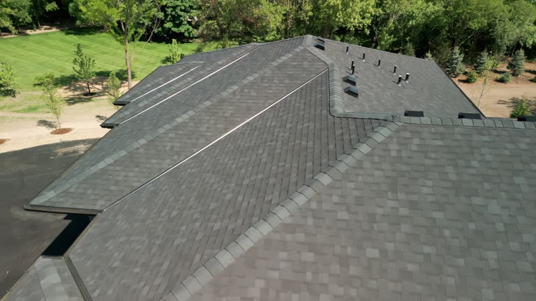 Roof Repair Services Near You Get Your Roof Fixed Today