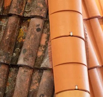 Reliable Roof Repair and Replacement Tampa