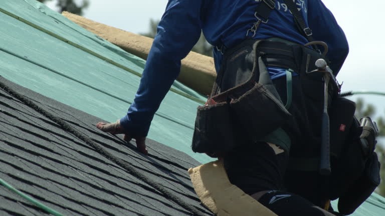 Reliable Roofing Contractors for Every Roof Type