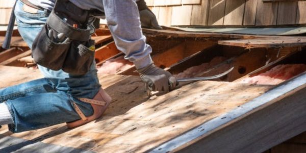 Why Most People Avoid Waste Picking and Garbage Collector Jobs