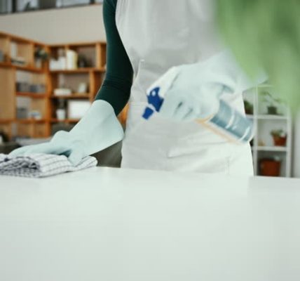 Naturally Clean Premium Natural Cleaning Services for Families