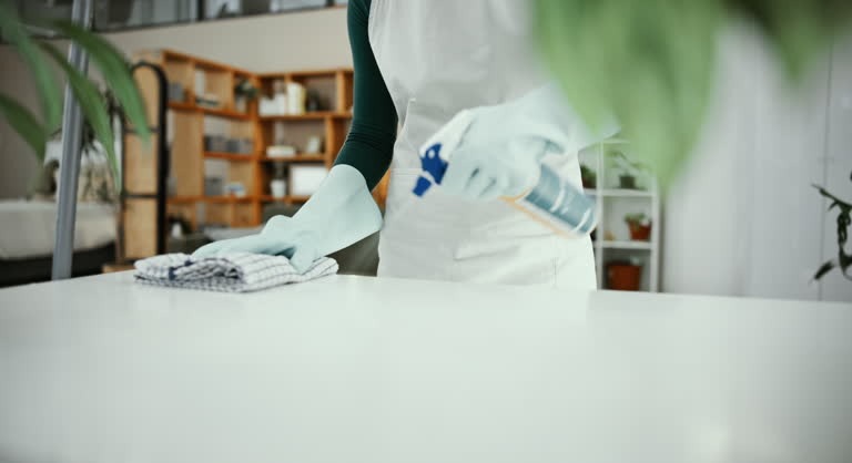 Naturally Clean Premium Natural Cleaning Services for Families