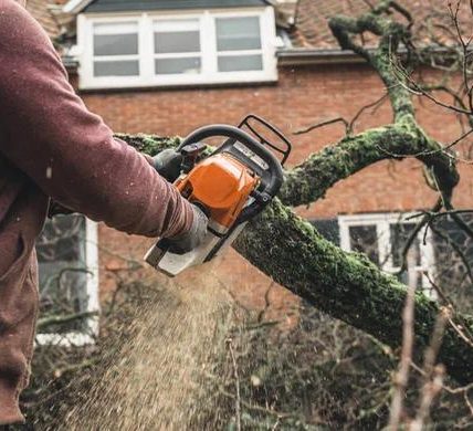 Fast and Efficient Tree Removal Specialists