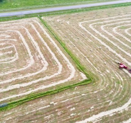 Keeping Lawns Maintained With Professional Mowing in Little Elm