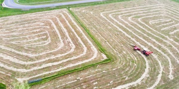 Keeping Lawns Maintained With Professional Mowing in Little Elm