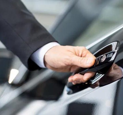 Seasonal Tree Maintenance in Auburn You Can Trust