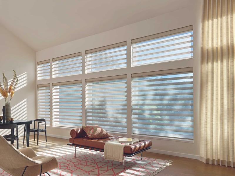 Window Blinds for Better Light Control and Privacy