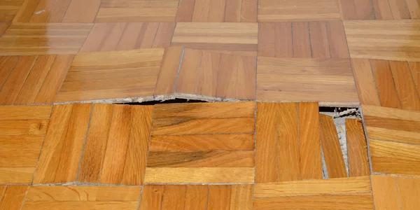 A Complete Guide to Water Restoration in Vancouver for Homes and Businesses