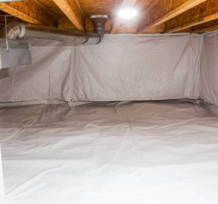 Professional Crawlspace Waterproofing in Wilmington Services