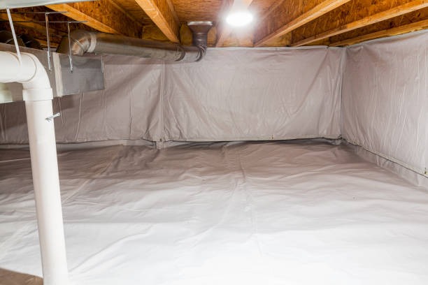 Professional Crawlspace Waterproofing in Wilmington Services