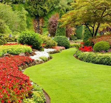 Transform Your Outdoor Space with Custom Landscape Design