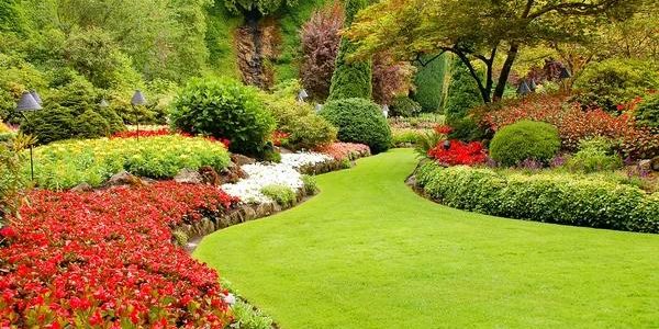 Transform Your Outdoor Space with Custom Landscape Design