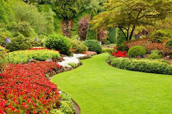 Transform Your Outdoor Space with Custom Landscape Design