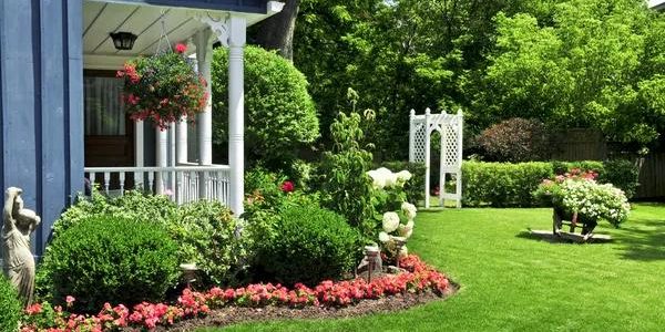 Designing a Tranquil Garden Space: From Practical to Spiritual
